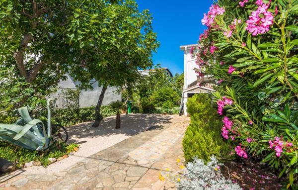 Apartment Marija - Otok Vir Buitenkant foto